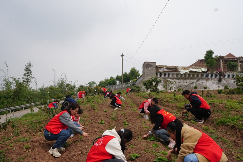 1618534228108080612.jpg 1618534228108080612.jpg