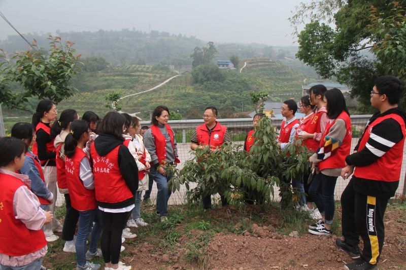 1618534282523038373.jpg 1618534282523038373.jpg