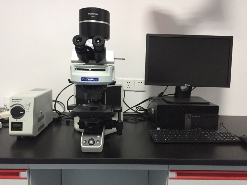 1700522S正置荧光显微镜.jpg