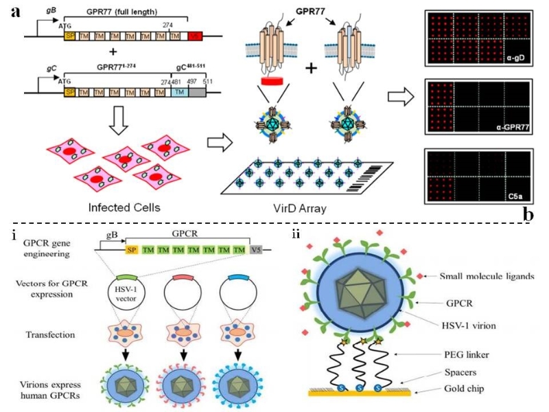nOTc_1660269147168053191.jpg 2.jpg